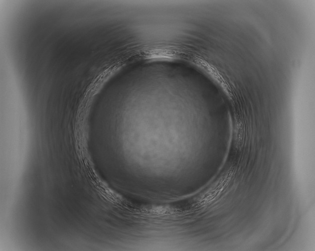 X0000116550385200912171353