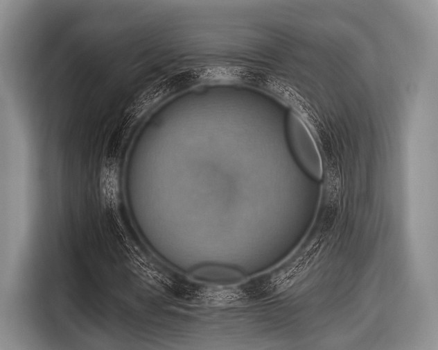 X0000116550386200912171353