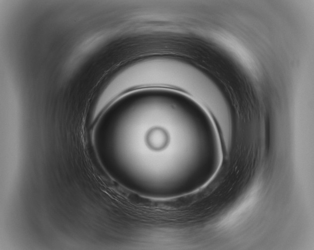 X0000116550387200912171353