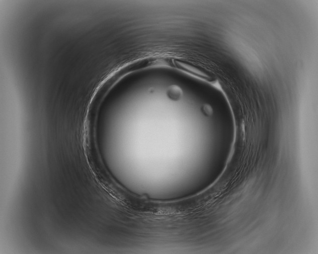 X0000116550388200912171353