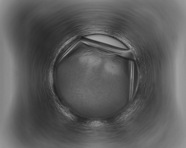 X0000116550390200912171353