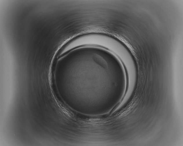 X0000116550391200912171353