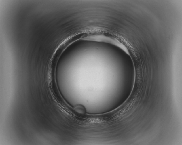 X0000116550392200912171353