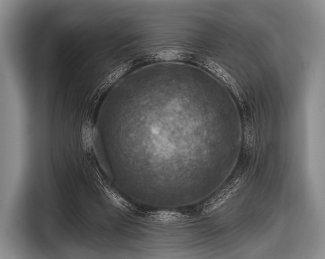 X0000116550393200912171353