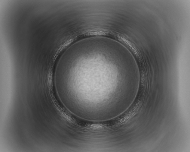 X0000116550394200912171353