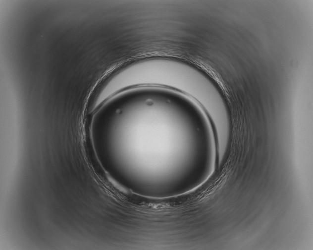 X0000116550395200912171353