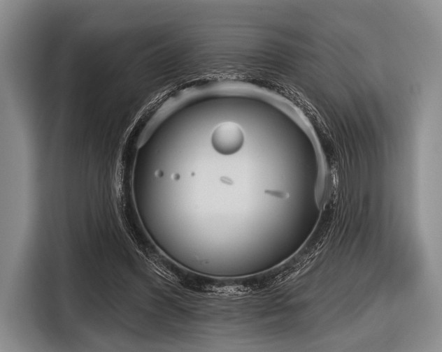 X0000116550396200912171353