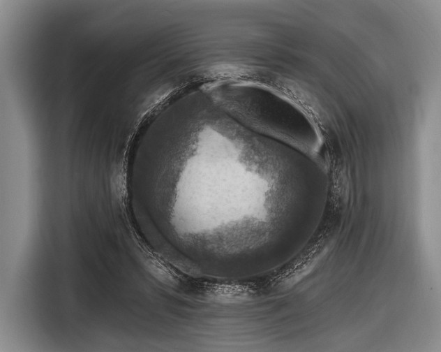 X0000116550399200912171353