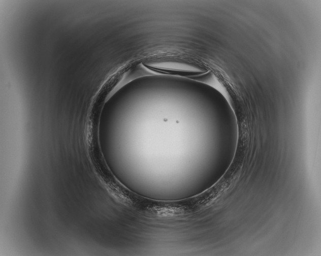 X0000116550400200912171353