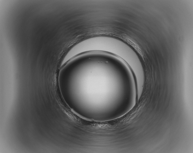 X0000116550401200912171353