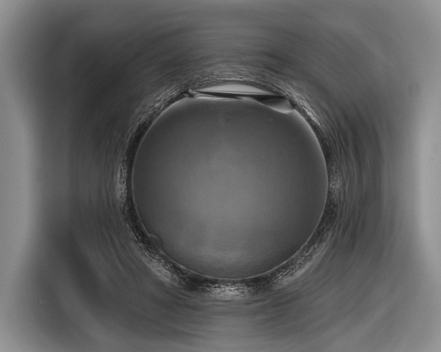 X0000116550402200912171353