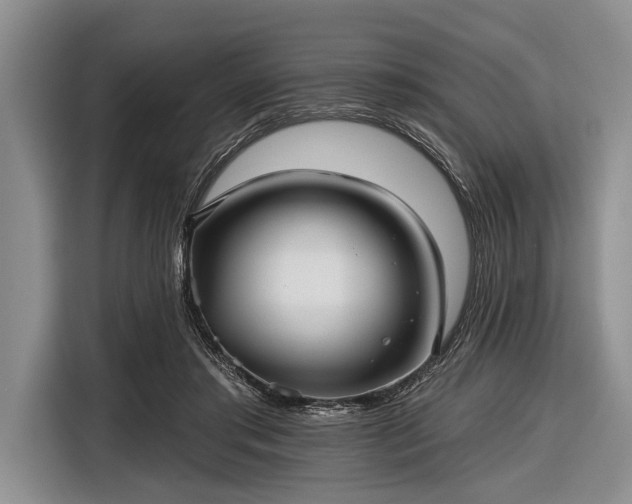 X0000116550405200912171353