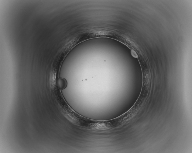 X0000116550406200912171353