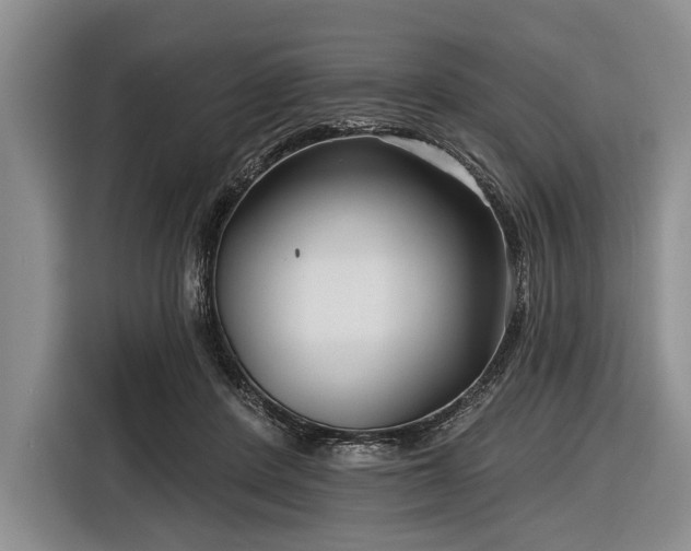 X0000116550408200912171353