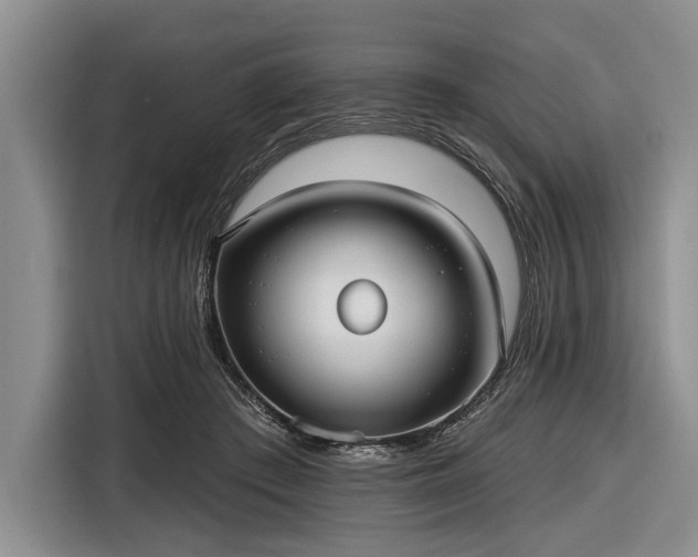 X0000116550409200912171353