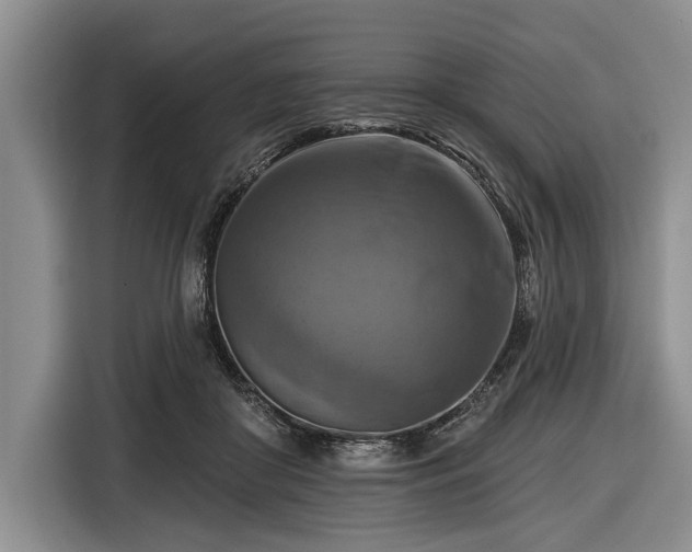 X0000116550410200912171353