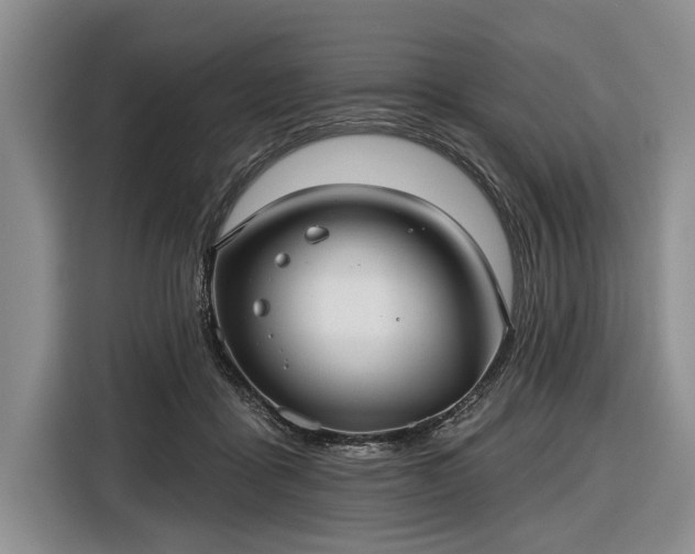 X0000116550411200912171353