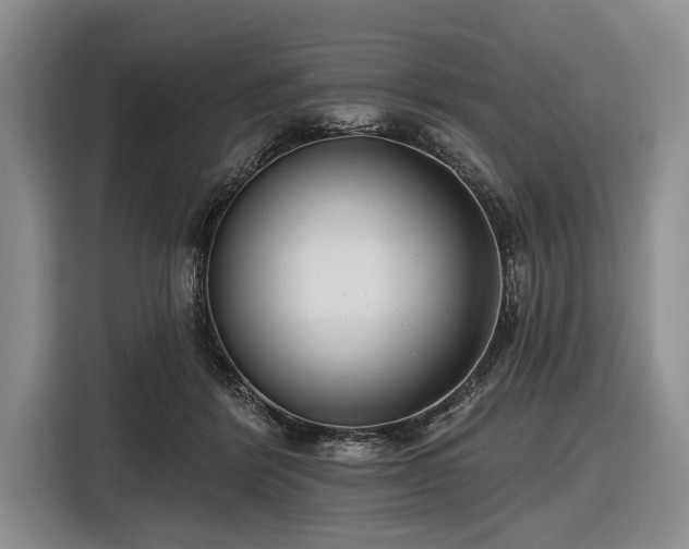 X0000116550412200912171353