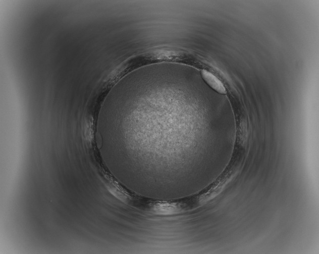 X0000116550413200912171353