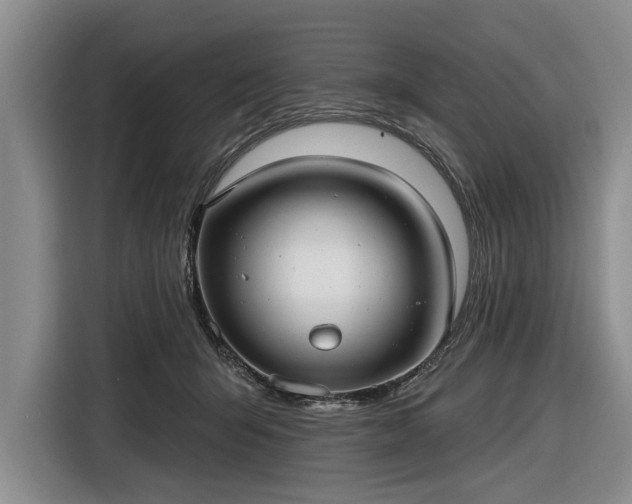 X0000116550415200912171353