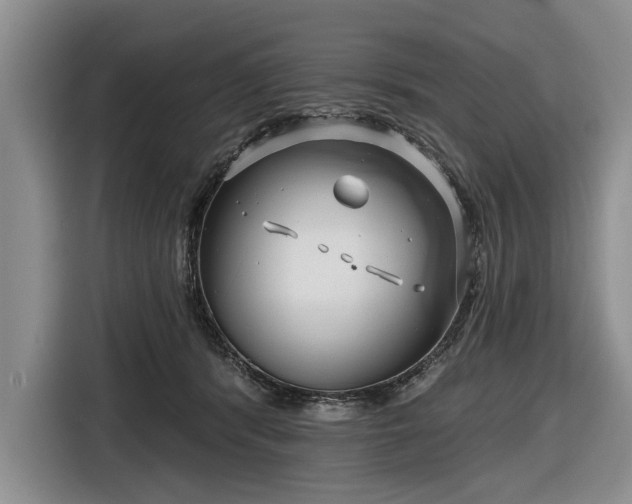 X0000116550416200912171353