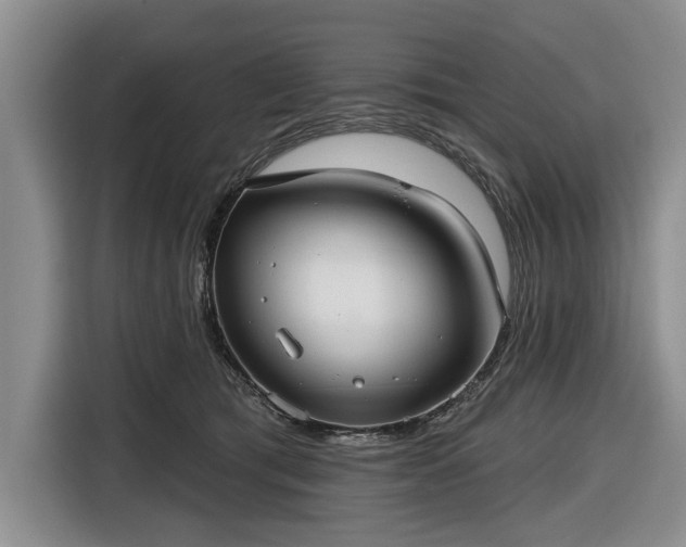 X0000116550417200912171353