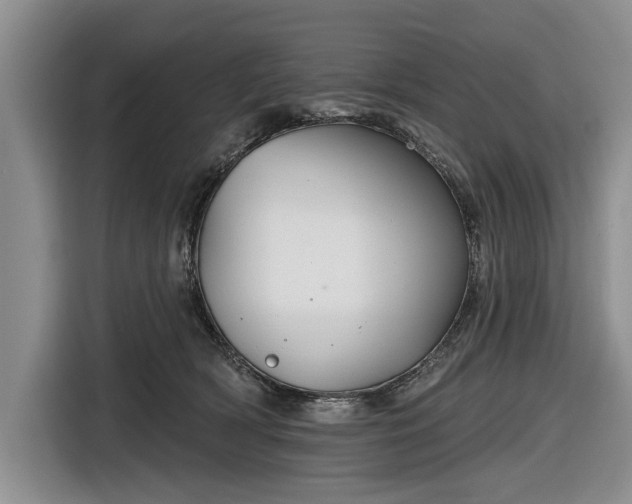 X0000116550418200912171353