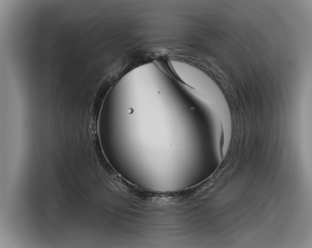 X0000116550419200912171353