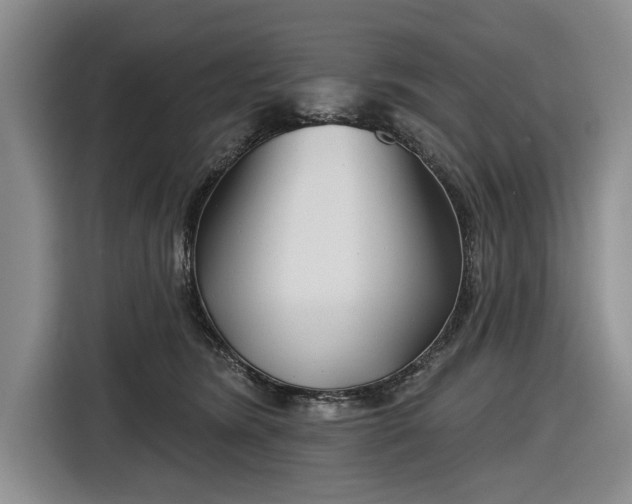 X0000116550420200912171353