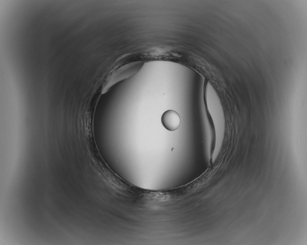 X0000116550421200912171353