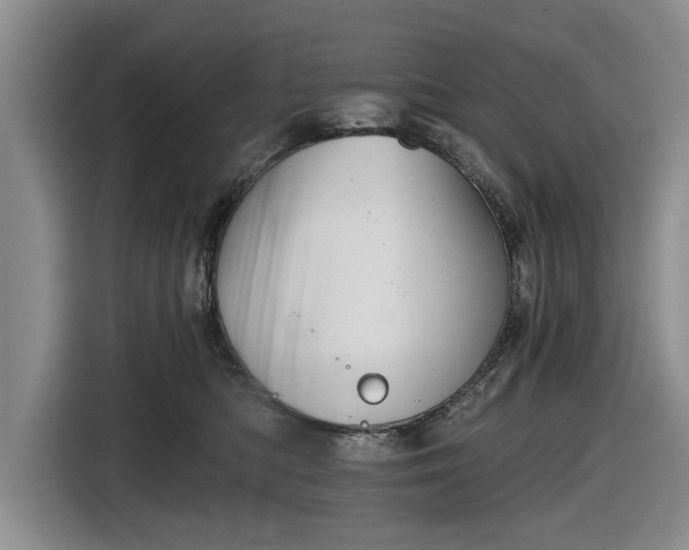 X0000116550422200912171353