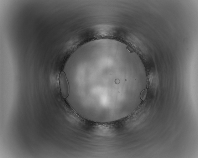 X0000116550423200912171353