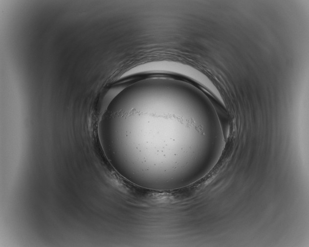 X0000116550424200912171353