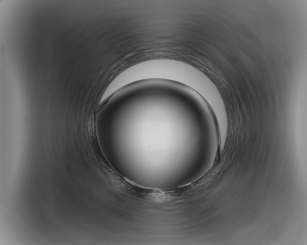 X0000116550425200912171353