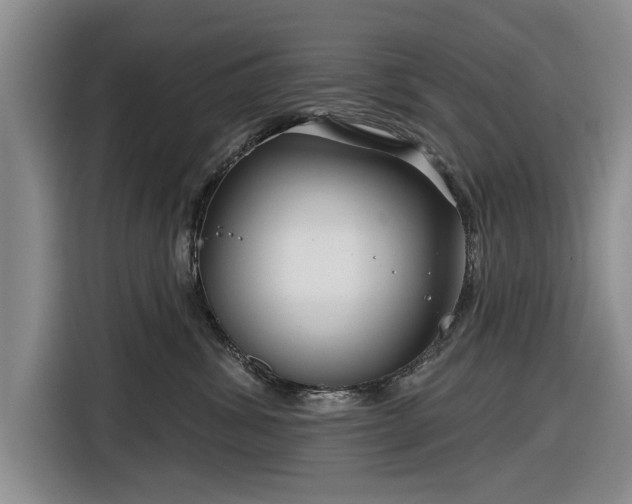 X0000116550428200912171353