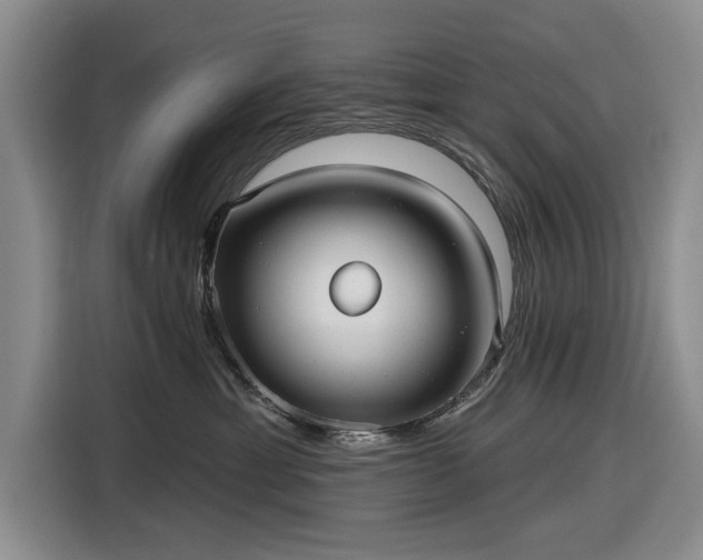 X0000116550429200912171353