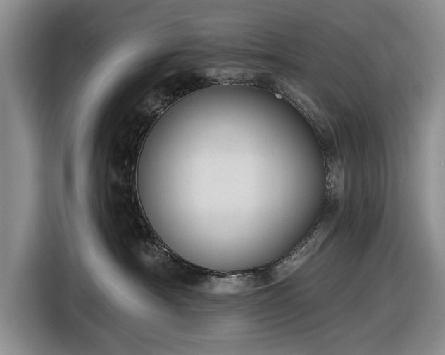 X0000116550430200912171353