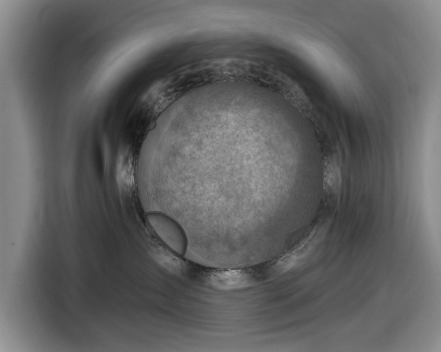 X0000116550431200912171353