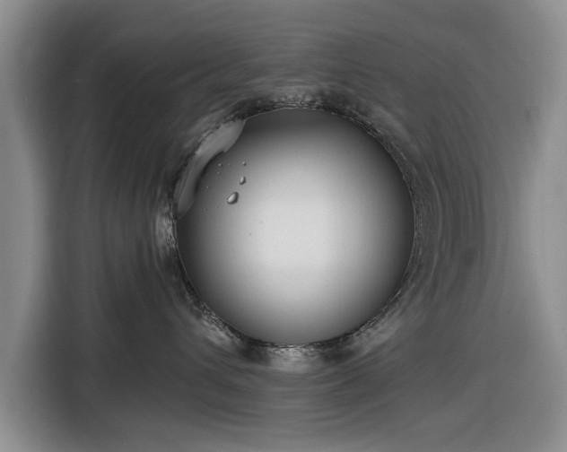 X0000116550432200912171353