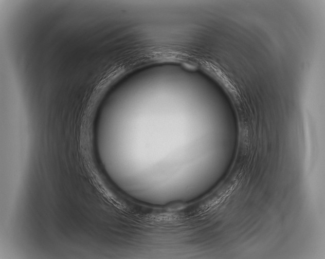 X0000116550433200912171352