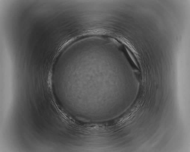 X0000116550434200912171352