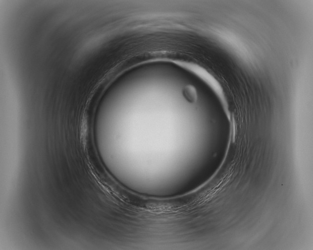 X0000116550435200912171352