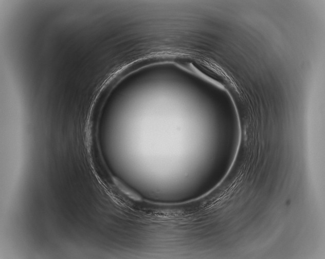 X0000116550436200912171352