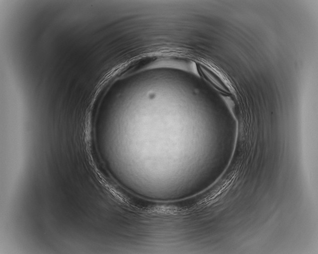 X0000116550437200912171352