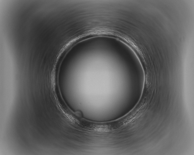 X0000116550438200912171352