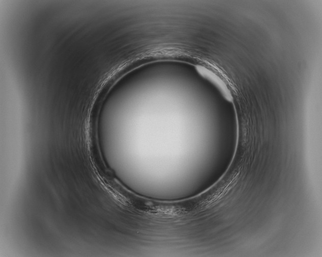 X0000116550439200912171352