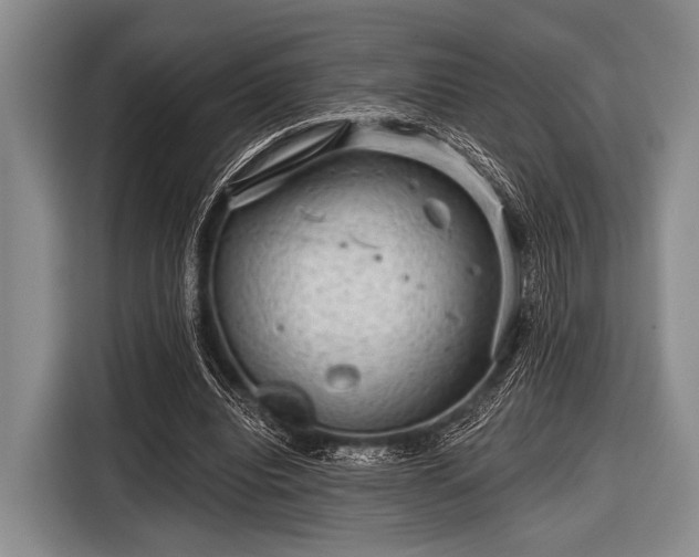 X0000116550440200912171352