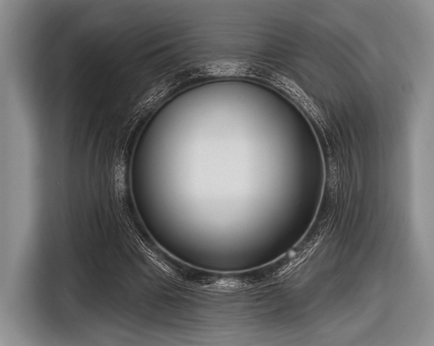 X0000116550441200912171352