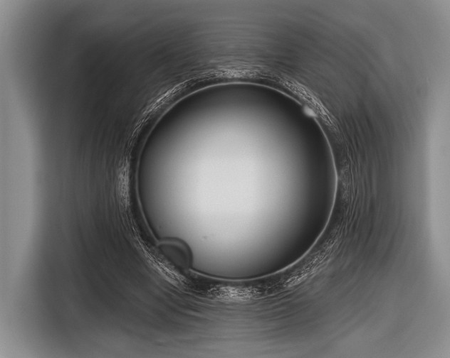 X0000116550442200912171352