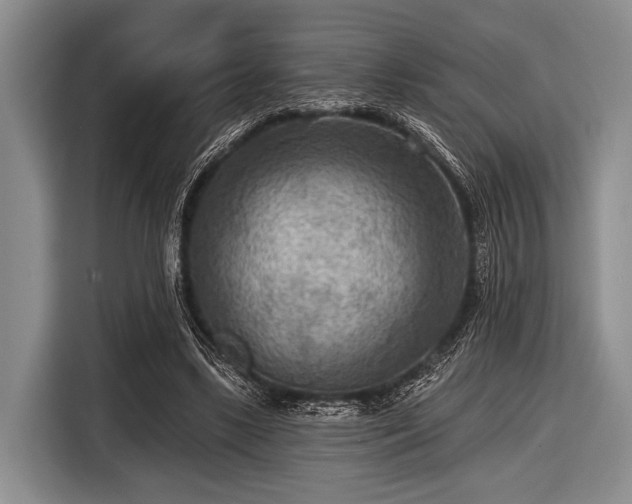 X0000116550443200912171352